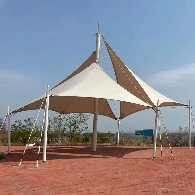 成县膜结构景观棚